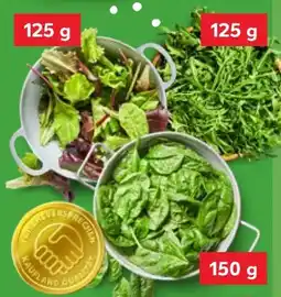 Kaufland Pflücksalat Angebot