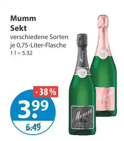 V Markt Mumm sekt Angebot