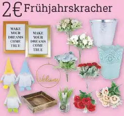 diska Frühjahrskracher Angebot