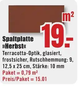 B1 Discount Baumarkt Spaltplatte >>Herbst<< Angebot