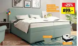 SCONTO Polsterbett Angebot