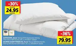 SCONTO Kopfkissen davos Angebot