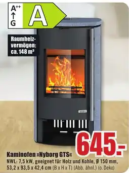 B1 Discount Baumarkt Kaminofen >>Nyborg GTS<< Angebot