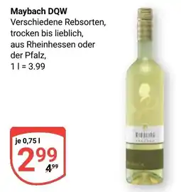 Globus Maybach DQW Angebot