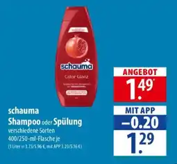 Famila Nord Ost schauma Shampoo oder Spülung Angebot