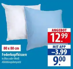 Famila Nord Ost Federkopfkissen Angebot