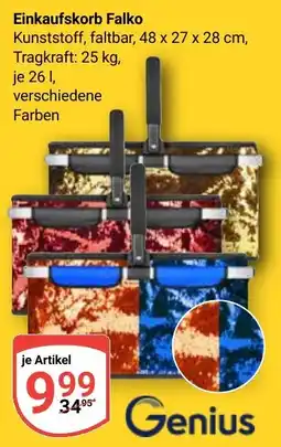 Globus Genius Einkaufskorb Falko Angebot