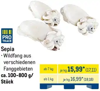 METRO Sepia Angebot