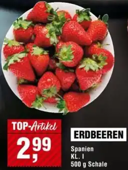 Handelshof Erdbeeren Angebot