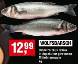 Handelshof Wolfsbarsch Angebot