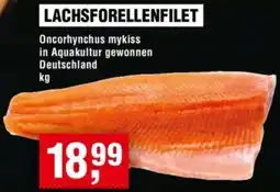 Handelshof Lachsforellenfilet Angebot