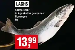 Handelshof Lachs Angebot