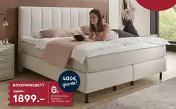 Möbel Buss Boxspringbett Angebot