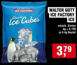 Handelshof Walter gott ice factory ice Angebot