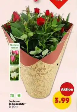 PENNY Topfrosen in Kragentüte Angebot