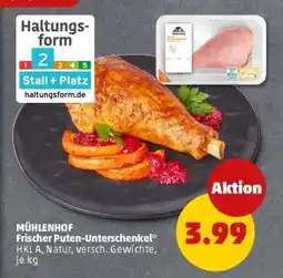 PENNY MÜHLENHOF Frischer Puten-Unterschenkel Angebot