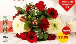 PENNY Strauß Premium Angebot