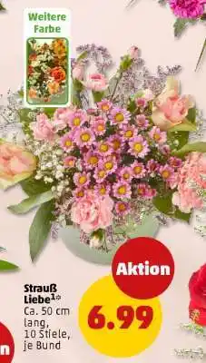 PENNY Strauß Liebe Angebot