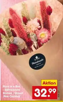 Netto Marken-Discount Plant in a Box Angebot
