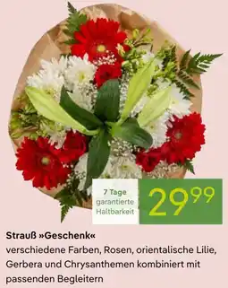 Pflanzen Kölle Strauß Geschenk Angebot