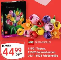 Globus LEGO BOTANICALS 11501 Tulpen, 11502 Sonnenblumen oder 11504 Friedenslilie Angebot
