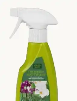 Pflanzen Kölle Kölle's Beste Orchideen-Blattpflege Angebot