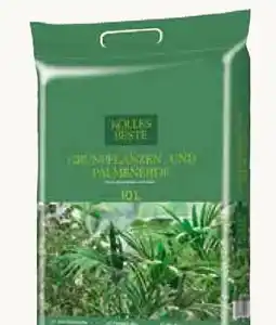 Pflanzen Kölle Kölle's Beste Grünpflanzen und Palmenerde Angebot