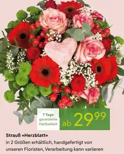Pflanzen Kölle Strauß Herzblatt Angebot