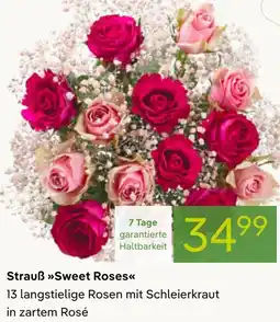 Pflanzen Kölle Strauß Sweet Roses Angebot