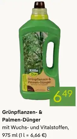 Pflanzen Kölle Grünpflanzen- & Palmen-Dünger Angebot