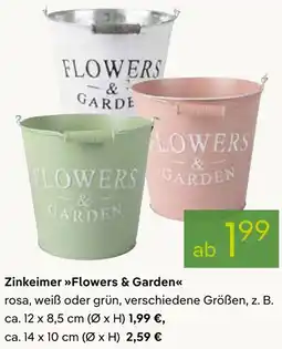 Pflanzen Kölle Zinkeimer Flowers & Garden Angebot