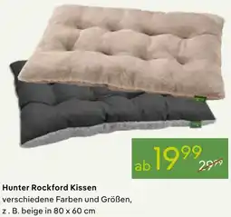 Pflanzen Kölle Hunter Rockford Kissen Angebot