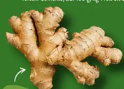 Aldi Süd Bio Smiley Bio-Ingwer Angebot