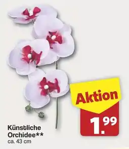 Famila Nord West Künstliche Orchidee Angebot