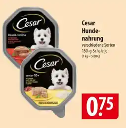 Famila Nord Ost Cesar Hundenahrung Angebot