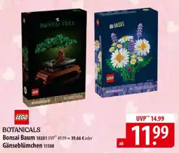 Famila Nord Ost LEGO BOTANICALS Bonsai Baum 10281 oder Gänseblümchen 11508 Angebot