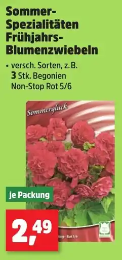 Thomas Philipps Sommer- Spezialitäten Frühjahrs- Blumenzwiebeln Angebot