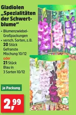 Thomas Philipps Gladiolen ,,Spezialitäten der Schwert- blume" Angebot