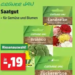 Thomas Philipps GRÜNER JAN Saatgut Angebot