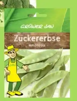 Thomas Philipps GRÜNER JAN Saatgut Angebot