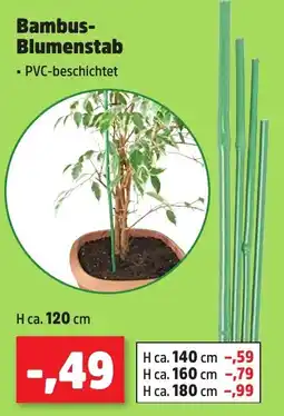 Thomas Philipps Bambus- Blumenstab Angebot