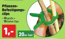 Thomas Philipps Pflanzen- Befestigungsclips Angebot