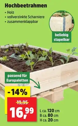 Thomas Philipps Hochbeetrahmen Angebot