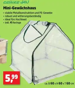 Thomas Philipps GRÜNER JAN Mini-Gewächshaus Angebot
