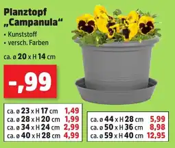 Thomas Philipps Planztopf „Campanula" Angebot