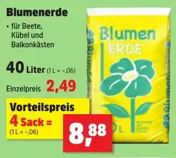 Thomas Philipps Blumenerde Angebot