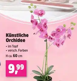 Thomas Philipps Künstliche Orchidee Angebot