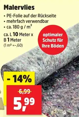 Thomas Philipps Malervlies Angebot