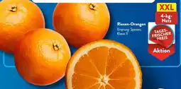 Aldi Süd Riesen-Orangen Angebot