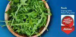 Aldi Süd Rucola Angebot